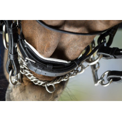 Brida convertible brida Weymouth HFI Zwart / zwart Brida convertible brida Weymouth HFI Zwart / zwart