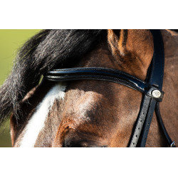 Brida convertible brida Weymouth HFI Zwart / zwart Brida convertible brida Weymouth HFI Zwart / zwart