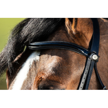 Brida convertible brida Weymouth HFI Brida convertible brida Weymouth HFI