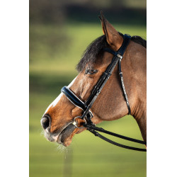 Brida convertible brida Weymouth HFI Zwart / zwart Brida convertible brida Weymouth HFI Zwart / zwart