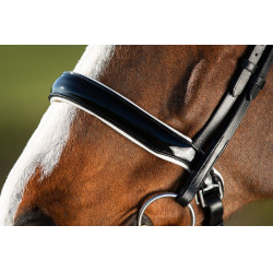 Brida convertible brida Weymouth HFI Zwart / zwart Brida convertible brida Weymouth HFI Zwart / zwart