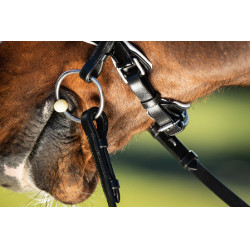 Brida convertible brida Weymouth HFI Zwart / zwart Brida convertible brida Weymouth HFI Zwart / zwart