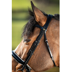 Brida convertible brida Weymouth HFI Zwart / zwart Brida convertible brida Weymouth HFI Zwart / zwart