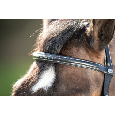 Bridon Comfort HFI Zwart Bridon Comfort HFI Zwart