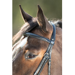 Bridon Comfort HFI Zwart Bridon Comfort HFI Zwart