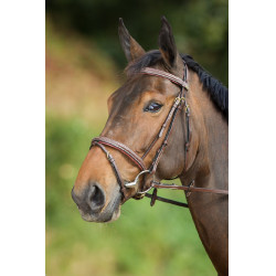 Bridon Comfort HFI Bruin