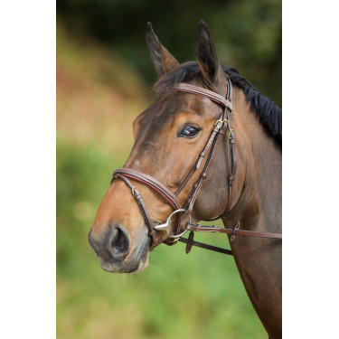 Bridon Comfort HFI Bruin