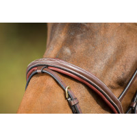 Bridon Comfort HFI Bruin