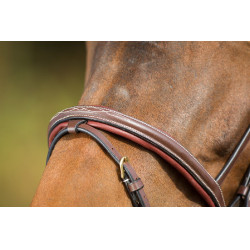 Bridon Comfort HFI Bruin