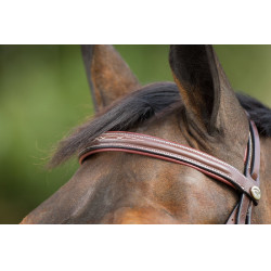 Bridon Comfort HFI Bruin