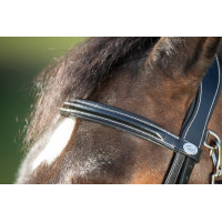 Functioneel hoofdstel HFI Zwart