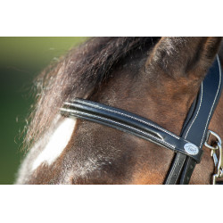 Functioneel hoofdstel HFI Zwart Functioneel hoofdstel HFI Zwart