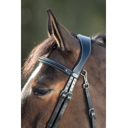 Functioneel hoofdstel HFI Zwart Functioneel hoofdstel HFI Zwart