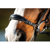 Bridon German HFI Zwart