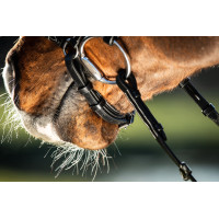 Bridon German HFI Bruin Bridon German HFI Bruin