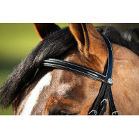 Bridon German HFI Bruin Bridon German HFI Bruin