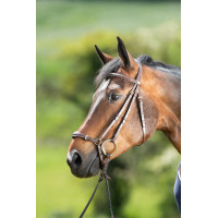 Bridon German HFI Bruin Bridon German HFI Bruin