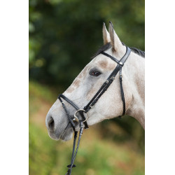 Bridon HFI Regular Zwart