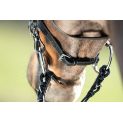 Bridon HFI Regular Zwart