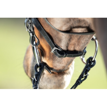 Bridon HFI Regular Zwart