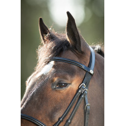 Bridon HFI Regular Zwart