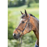 Bridon HFI Regular Zwart
