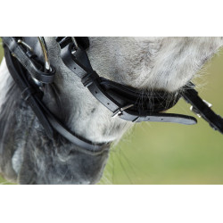 Bridon Luxe HFI Zwart