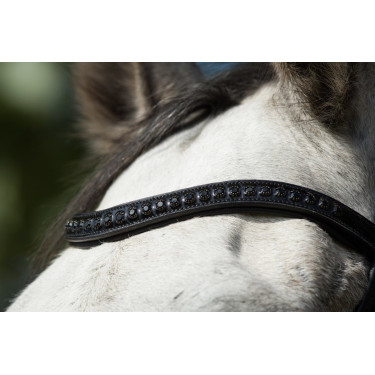 Bridon Luxe HFI Zwart Bridon Luxe HFI Zwart