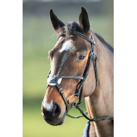 Bridon Mexican HFI Zwart