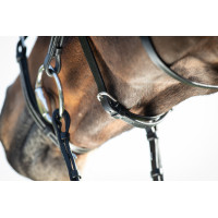 Bridon Mexican HFI Zwart