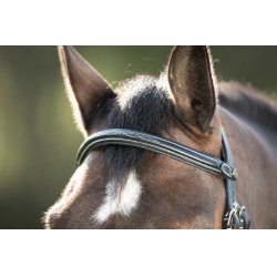 Bridon Mexican HFI Zwart