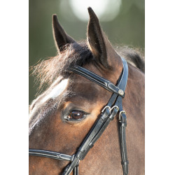 Bridon Mexican HFI Zwart