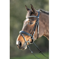 Bridon Shiny HFI Zwart