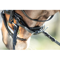 Bridon Shiny HFI Zwart Bridon Shiny HFI Zwart