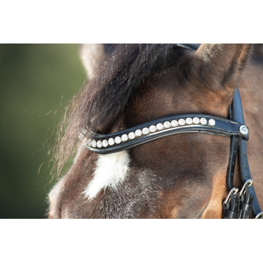 Bridon Shiny HFI Zwart Bridon Shiny HFI Zwart