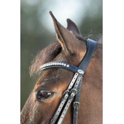 Bridon Shiny HFI Zwart