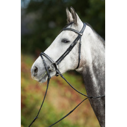 Bridon Sparkly HFI