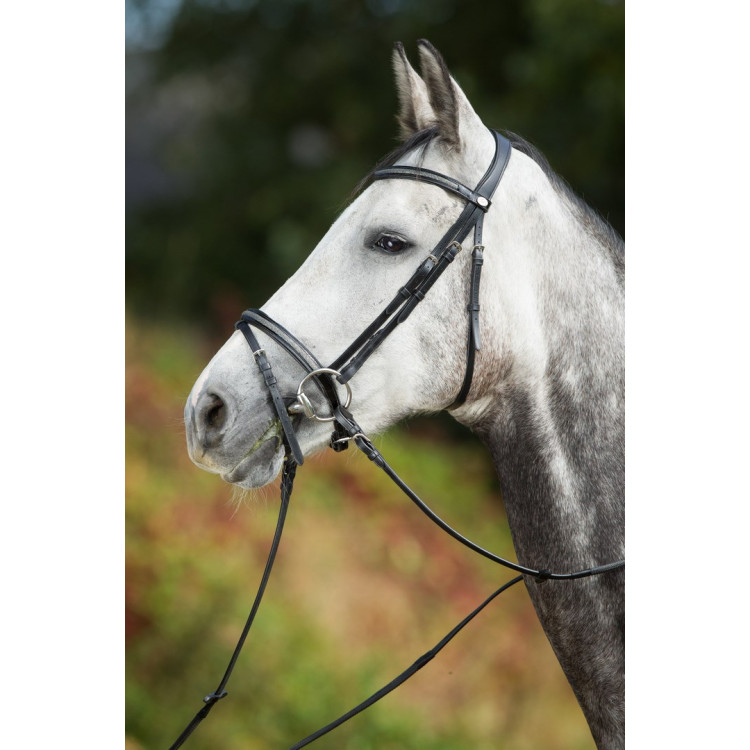 Bridon Sparkly HFI