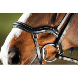 Bridon Techno HFI Zwart