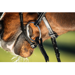 Bridon Techno HFI Zwart