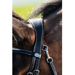 Bridon Techno HFI Zwart