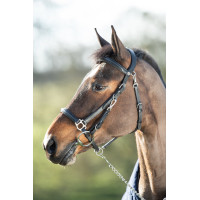 Combinatie Hoofdstel / Halster HFI Zwart