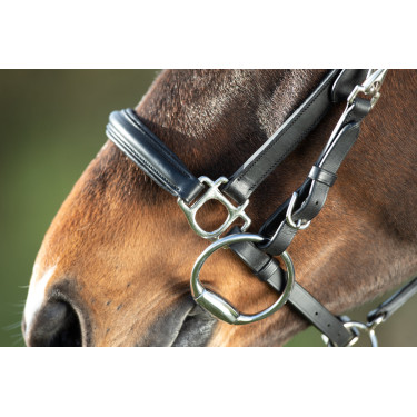 Combinatie Hoofdstel / Halster HFI Zwart Combinatie Hoofdstel / Halster HFI Zwart