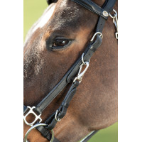 Combinatie Hoofdstel / Halster HFI Zwart