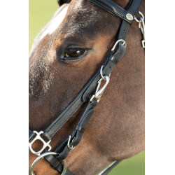 Combinatie Hoofdstel / Halster HFI Zwart