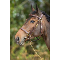 Combinatie Hoofdstel / Halster HFI Zwart