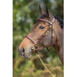 Combinatie Hoofdstel / Halster HFI Bruin