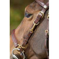 Combinatie Hoofdstel / Halster HFI Zwart