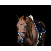 Frontaal en V strass HFI Bruin / blauw