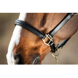 Gebombeerd halster HFI Zwart Gebombeerd halster HFI Zwart